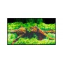 Hobby Poster Hobby Spring / Moss 31010