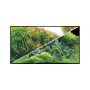 Hobby Poster Hobby Planted River / Green Rocks 31043