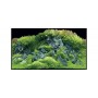 Hobby Poster Hobby Planted River / Green Rocks 31043