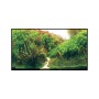 Hobby Poster Hobby Planted River / Green Rocks 31043