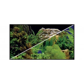 Hobby Poster Hobby Plantes 2 / 7 31127
