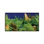 Hobby Poster Hobby Plantes 2 / 7 31127