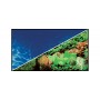 Hobby Poster Hobby Plantes 8 / Marin Blue 31135