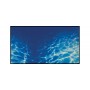 Hobby Poster Hobby Plantes 8 / Marin Blue 31135