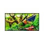 Hobby Poster Hobby Green Secret / Wood Island 31056