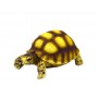 Hobby Décoration Turtle 2 Hobby 36352