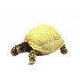 Hobby Décoration Turtle 3 Hobby 36354