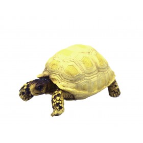 Hobby Décoration Turtle 3 Hobby 36354