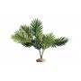 Hobby Plante artificielle Hobby Palm 37001