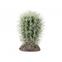 Hobby Plante artificielle Hobby Kaktus Great Basin 37005
