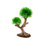 Hobby Plante artificielle Hobby Aqua Tree 2 41547