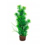 Hobby Plante artificielle Hobby Flora Stone 5 51534