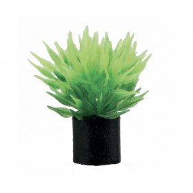 Hobby Plante artificielle Hobby Utricularia Mini 51549