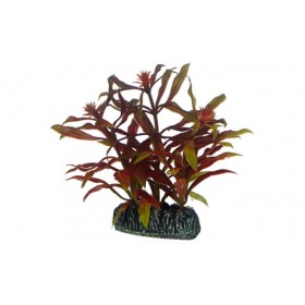 Hobby Plante artificielle Hobby Nesaea 51569
