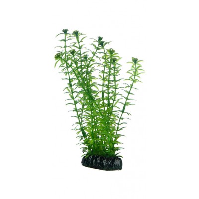 Hobby Plante artificielle Hobby Lagarosiphon 51573