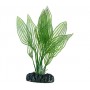 Hobby Plante artificielle Hobby Aponogeton 51577