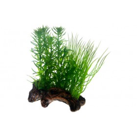 Hobby Plante artificielle Hobby Flora Root 2 51595