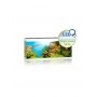 Juwel Aquarium Juwel Rio 450 LED 805350
