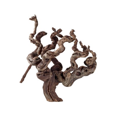 Hobby Racine de vigne Hobby 34126