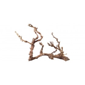 Hobby Racine de vigne Hobby Jumbo 34127