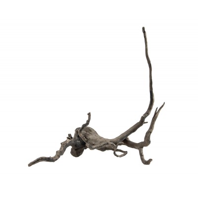 Hobby Racine araignée Fingerwood noir Hobby 40484