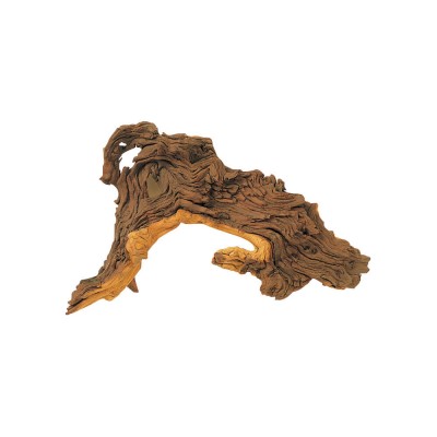 Hobby Racine en bois de Mopani Hobby 40690