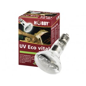 Hobby Ampoule Hobby UV Eco vital 37319
