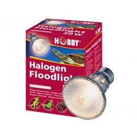 Hobby Ampoule Hobby Halogen Floodlight 37385