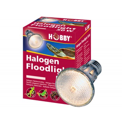 Hobby Ampoule Hobby Halogen Floodlight 37385