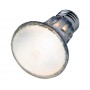 Hobby Ampoule Hobby Halogen Floodlight 37385