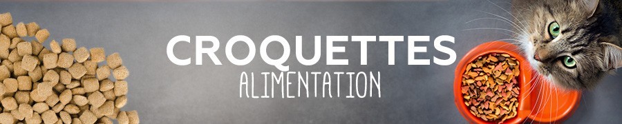 Croquettes - Alimentation & compléments pour chat