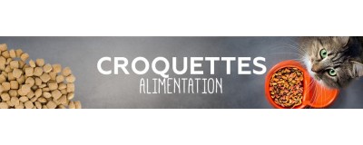Croquettes - Alimentation & compléments pour chat