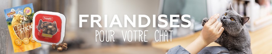 Friandises pour chat