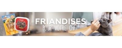 Friandises pour chat