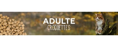 Adulte