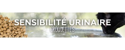 Sensibilité urinaire