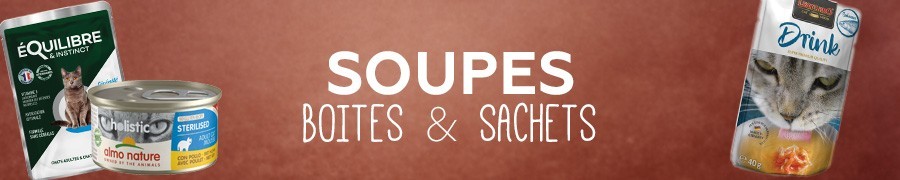 Soupes