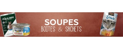 Soupes