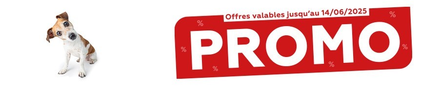 Tract de Mai 2025 - Univers Chien