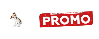 Tract de Mai 2025 - Univers Chien