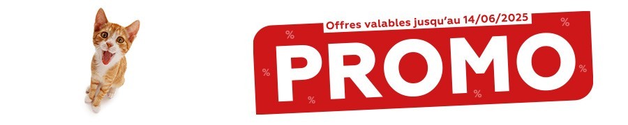 Tract de Mai 2025 - Univers Chat