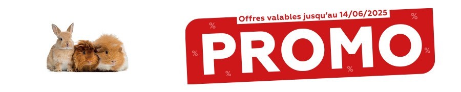 Tract de Mai 2025 - Univers Rongeur