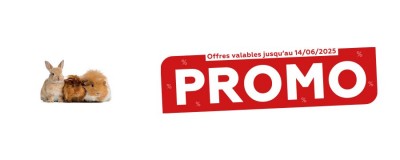 Tract de Mai 2025 - Univers Rongeur