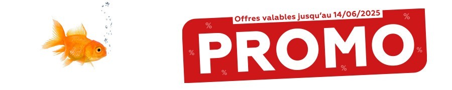 Tract de Mai 2025 - Univers Poisson