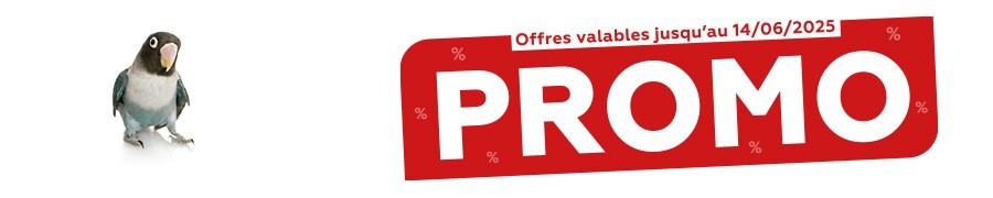 Tract de Mai 2025 - Univers Oiseau