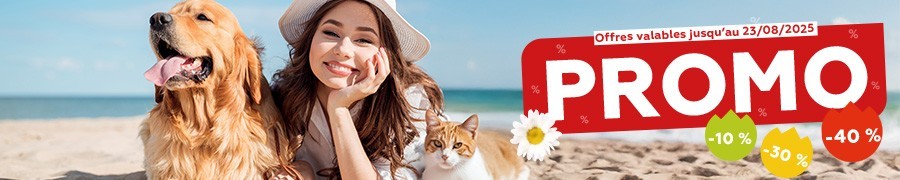 Promos de l'été 2025