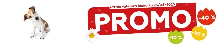 Promos de l'été 2025 - Chien
