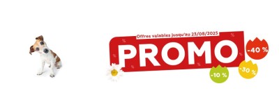 Promos de l'été 2025 - Chien