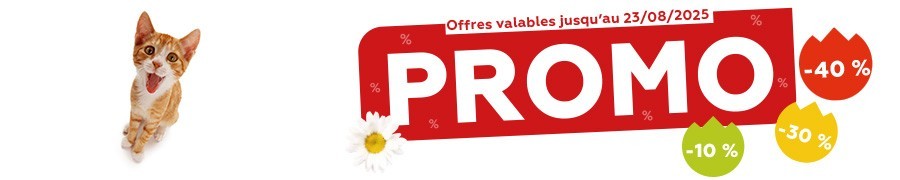 Promos de l'été 2025 - Chat