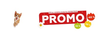 Promos de l'été 2025 - Chat